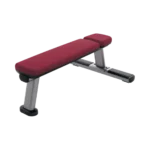 Life Fitness egyenespad