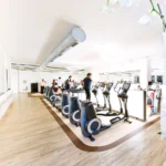 lifefitness.hu - traffic