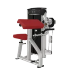 Axiom sorozatú bicepsz-tricepszfeszítő gép