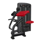 Insignia sorozatú kétkezes bicepsz gép