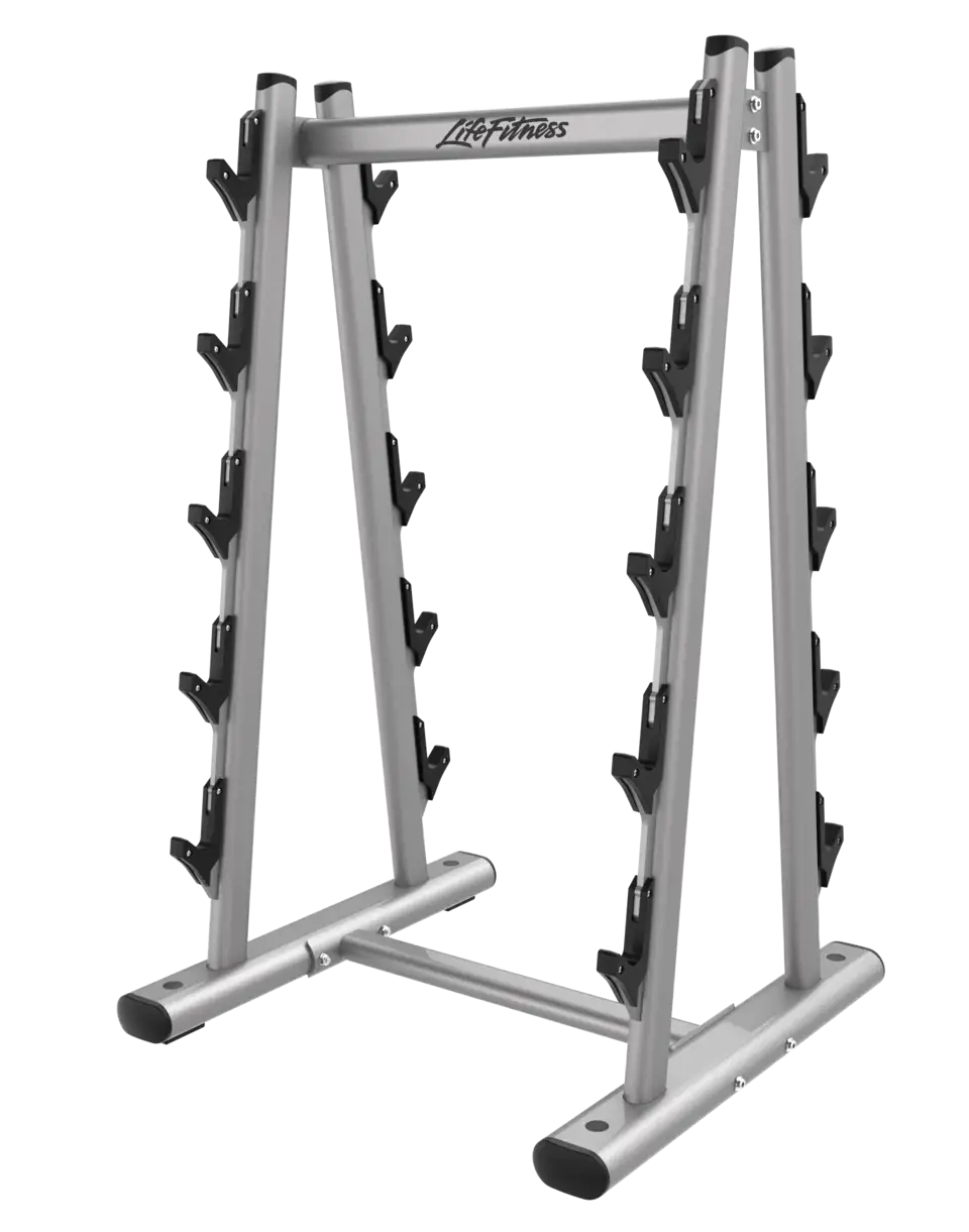 accessories-life-fitness-barbell-rack-lbr-br10 Kétkezes súlyzótartó állvány - Image 1